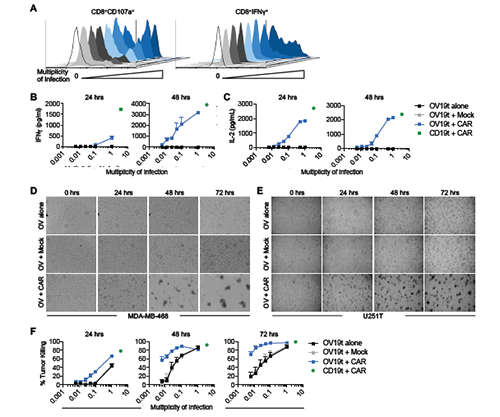 亿万先生mr·(中国区)官方网站