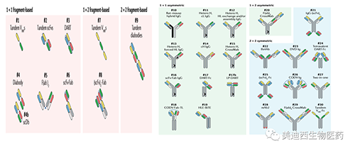 双抗药物剖析要领建设需要思量的因素