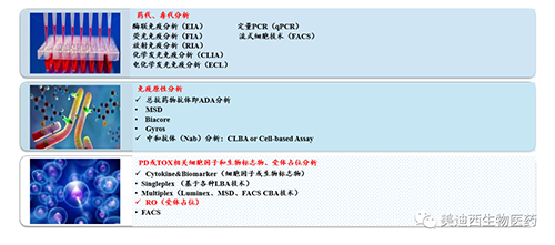 亿万先生mr生物手艺药物剖析部效劳内容