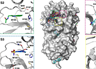 【Nature子刊】国际团队联协实力，，，，，，加速基于COVID-19结构的药物设计！