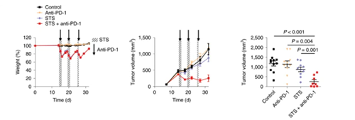 与比照组及仅使用PD-1疗法的模子小鼠比照，，，，，，，，接纳短期饥饿配合PD-1疗法的393P细胞同源移植肿瘤小鼠体内的肿瘤体积有了显着的缩短。。。。。。
