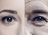 一种能够延伸寿命的降压药，，，，，，你听说过吗？？？？？？？