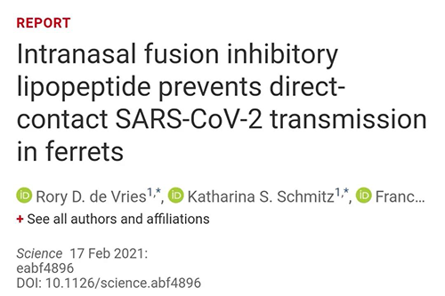Science速递|鼻喷雾剂可阻止新冠肺炎撒播，，，，，，在雪貂实验中已初获效果