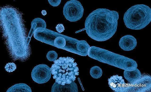 20分钟，，，，，，，，大大都细菌都可以繁衍一代 亿万先生mr生物医药