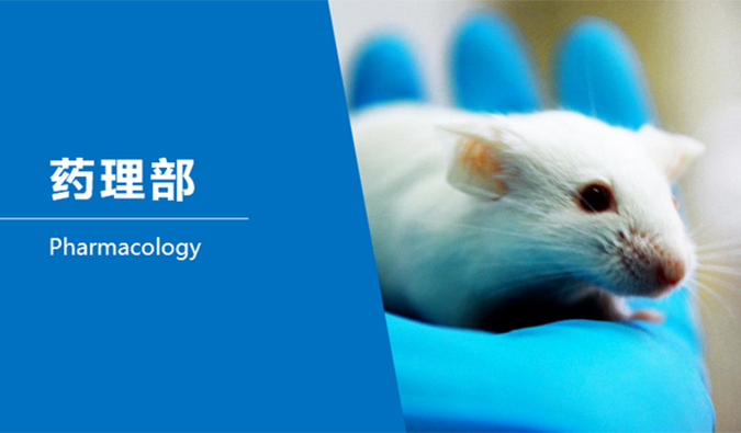 亿万先生mr临床前研究-药理部