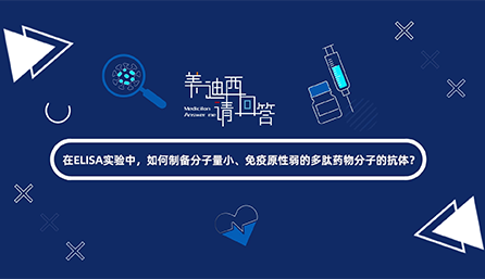 在ELISA实验，，，，，，怎样制备分子量小、免疫原性弱的多肽药物分子的抗体？？？？？？？？