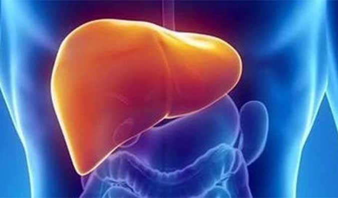 【亿万先生mr助力】NASH领域新希望！海普丁HPD001即将在美启动临床试验