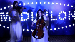 迷人的提琴演出者们带来魅力四射的演出