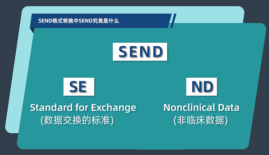 SEND名堂转换中的SEND事实是什么？？？？？？？