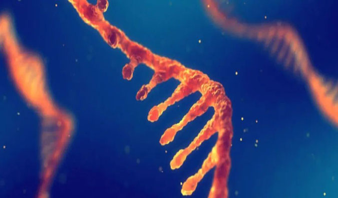 赋能核酸药物疗法，，，，，，，迎接新药研发第三次浪潮