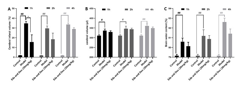 7-治疗时间窗考察-A：TTC；；；；；；；；B：脑体积，，，，，C：脑含水量.jpg