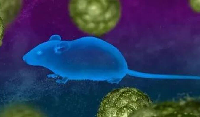 亿万先生mr药效效劳赋能First-in-Class泛素化抑制剂研发