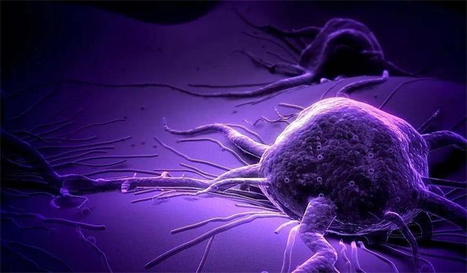 亿万先生mr助力轩竹生物研发的完全敲除岩藻糖的双抗ADC药物KM501获批临床