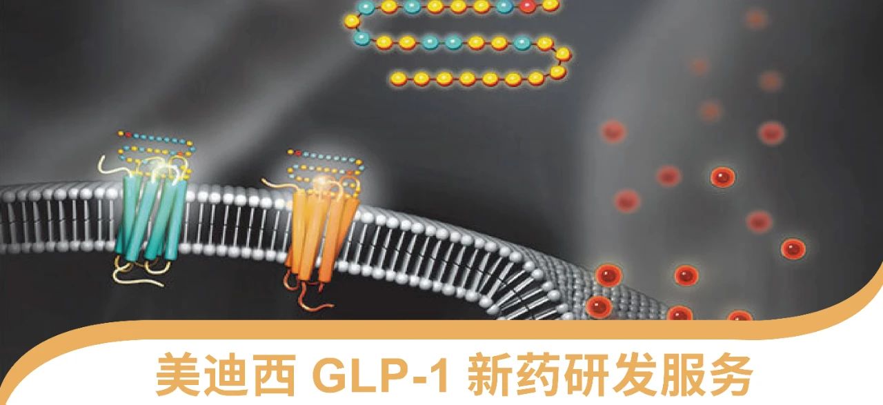 亿万先生mr一站式 丨 “GLP-1”新药研发效劳能力先容