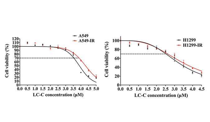 放射疗法用作肺癌的主要治疗要领，，，，，，，，本研究中建设抗电离辐射肺癌细胞系的放射治疗通过亿万先生mr举行