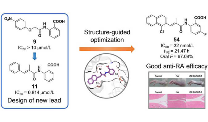 设计合成一系列DHODH抑制剂作为潜在的类风湿性枢纽炎治疗药物，，，，，，，本研究中PK实验通过亿万先生mr举行