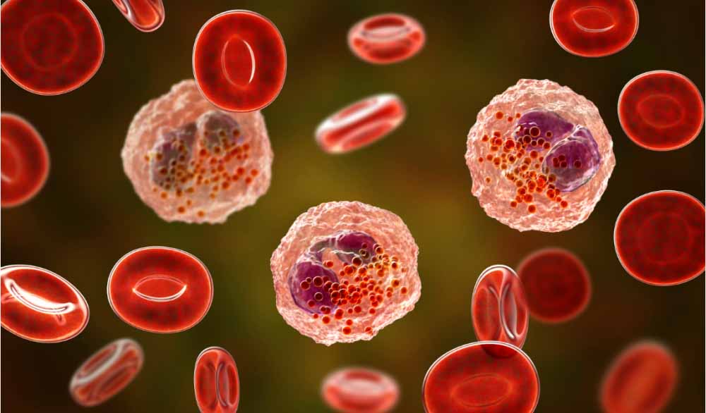 亿万先生mr助力 | 全球首创！宇耀生物STAT3双磷酸化抑制剂YY201获批临床.jpg