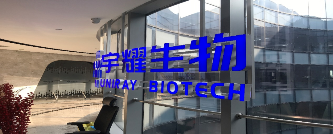 亿万先生mr助力 | 宇耀生物STAT3双磷酸化位点抑制剂YY201乐成完成中美双报