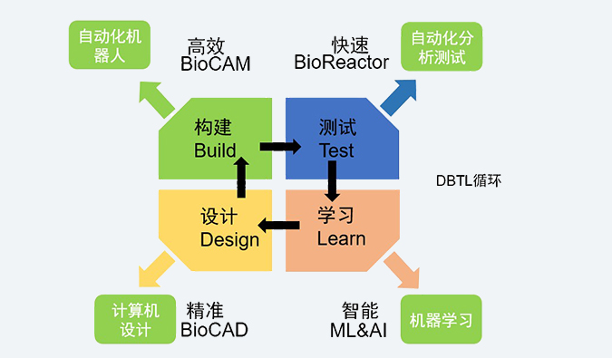 合成生物学效劳平台.jpg