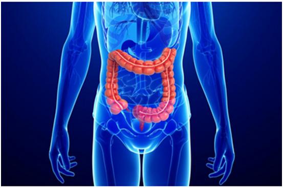 亿万先生mr一站式助力 | 宝太生物首其中美双报立异药获批