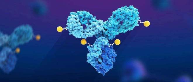 天下肿瘤日聚焦：AACR年会引领全球肿瘤新药趋势，，，，，，国产药引领风潮