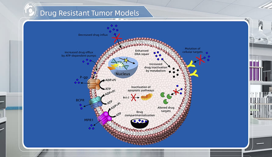 肿瘤耐药机制是什么？？？？？？