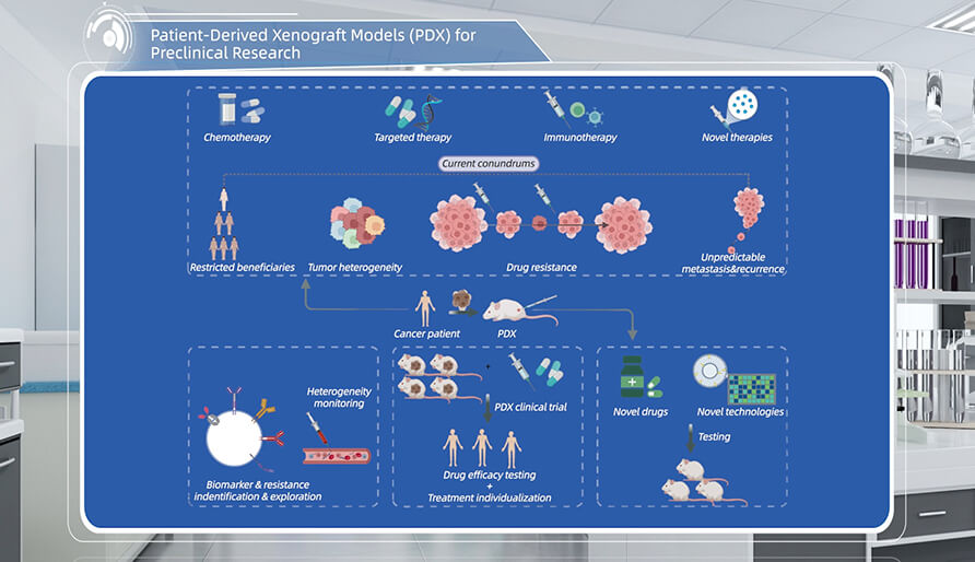 什么是临床前研究的PDX（人源肿瘤异种移植）模子？？？？？？