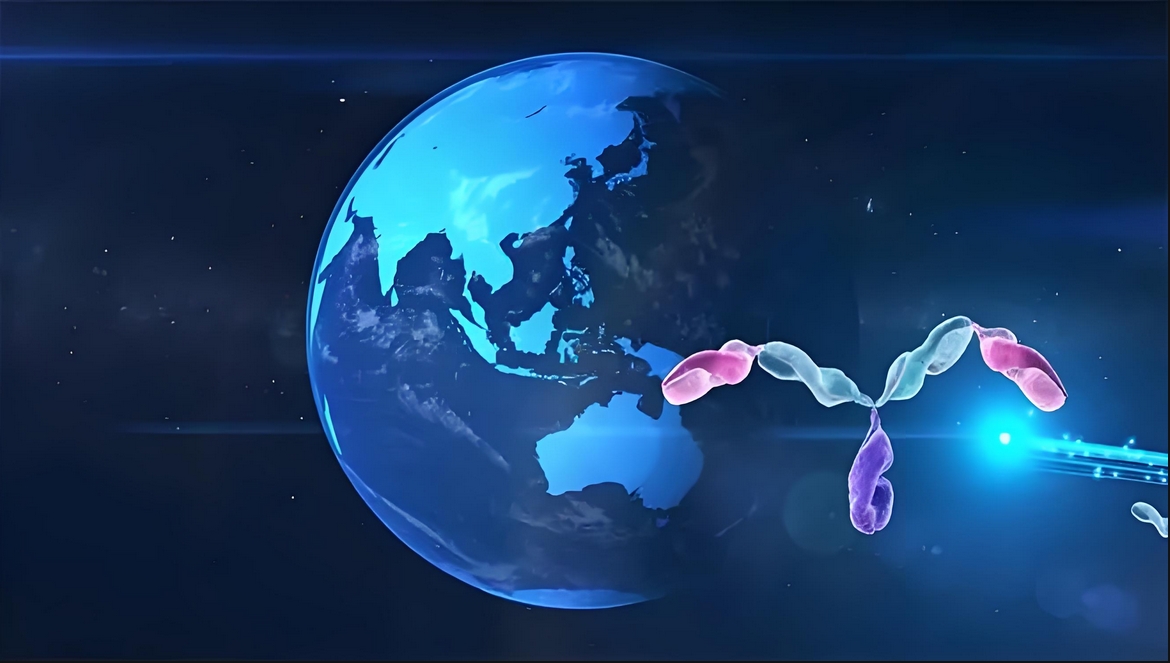 价值屡履历证！亿万先生mr祝贺相助同伴岸迈生物BCMA×CD3双抗EMB-06授权出海