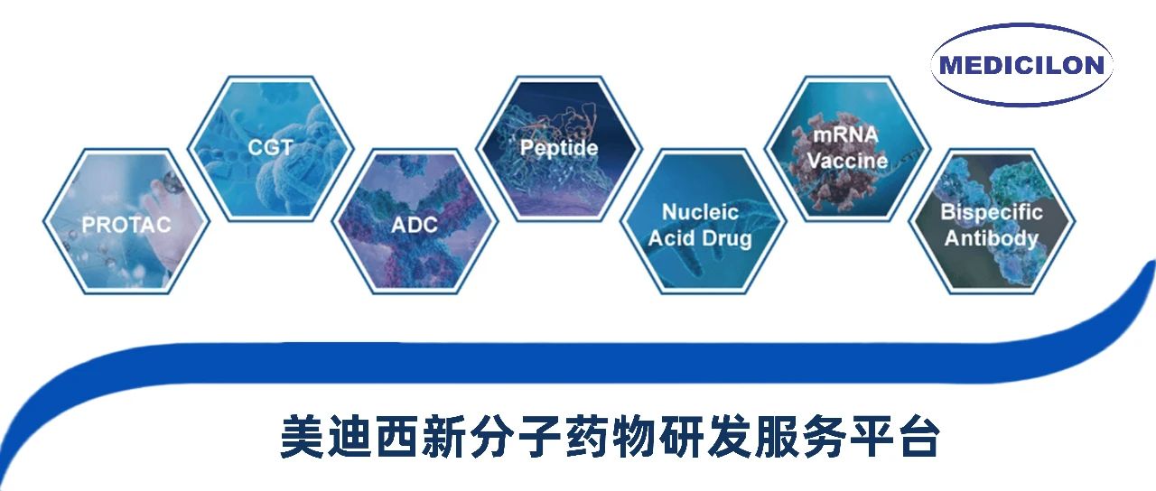 亿万先生mr新分子类型药物研发效劳平台