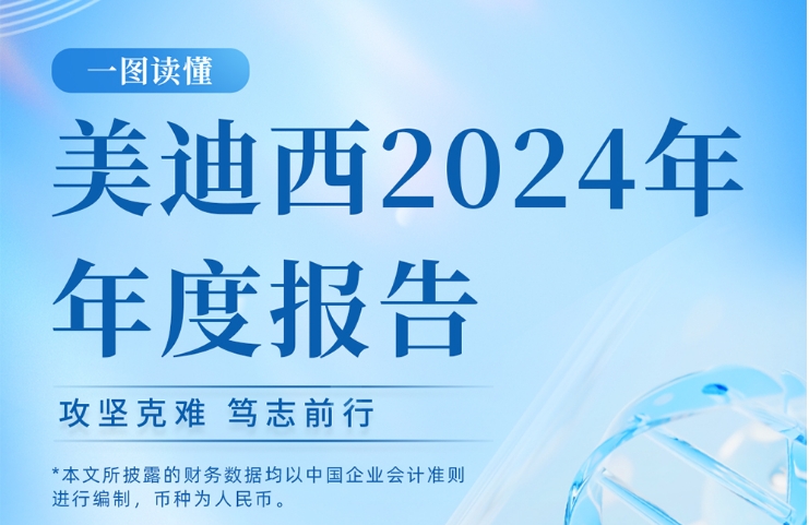 亿万先生mr2024年年度报告